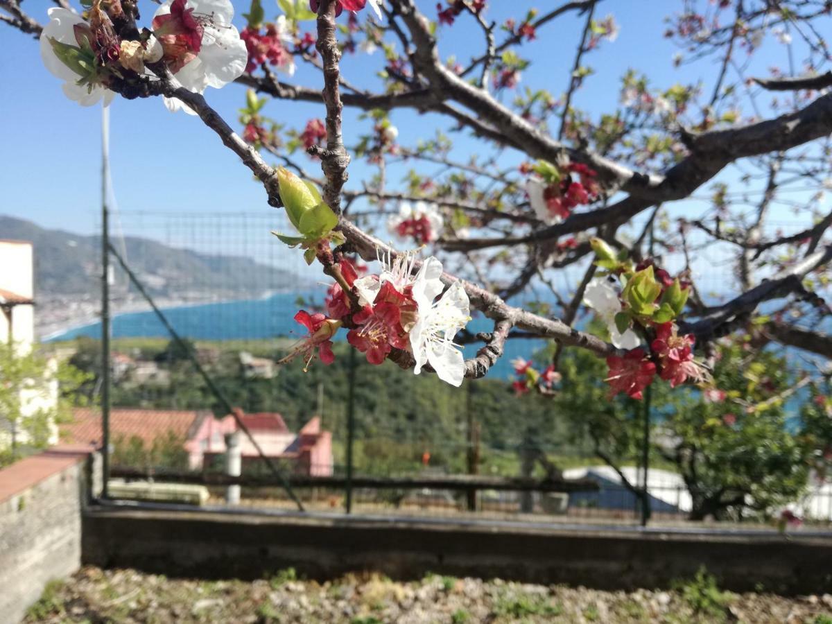 Villa Mariella ตาออร์มินา ภายนอก รูปภาพ